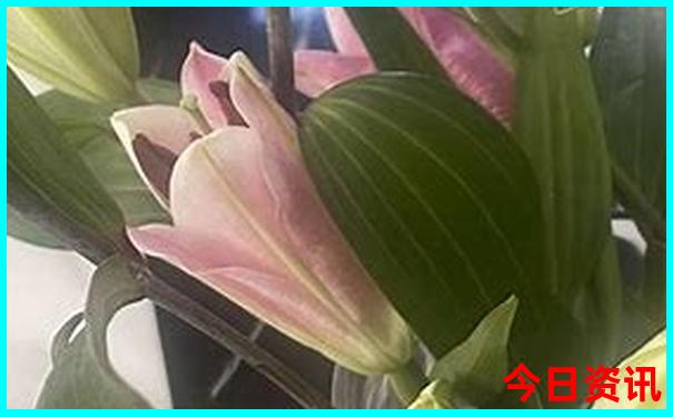 桂林2日游最佳路线